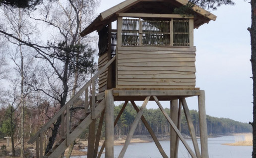 Stebejimo bokst (1)_r1.jpg